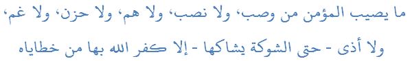 ما يصيب المؤمن من وصب، ولا نصب، ولا هم، ولا حزن، ولا غم، ولا أذى - حتى الشوكة يشاكها - إلا كفر الله بها من خطاياه