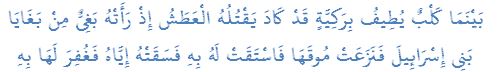 بَيْنَمَا كَلْبٌ يُطِيفُ بِرَكِيَّةٍ قَدْ كَادَ يَقْتُلُهُ الْعَطَشُ إِذْ رَأَتْهُ بَغِىٌّ مِنْ بَغَايَا بَنِى إِسْرَائِيلَ فَنَزَعَتْ مُوقَهَا فَاسْتَقَتْ لَهُ بِهِ فَسَقَتْهُ إِيَّاهُ فَغُفِرَ لَهَا بِهِ