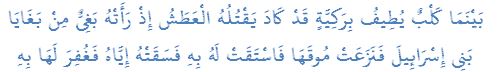 بَيْنَمَا كَلْبٌ يُطِيفُ بِرَكِيَّةٍ قَدْ كَادَ يَقْتُلُهُ الْعَطَشُ إِذْ رَأَتْهُ بَغِىٌّ مِنْ بَغَايَا بَنِى إِسْرَائِيلَ فَنَزَعَتْ مُوقَهَا فَاسْتَقَتْ لَهُ بِهِ فَسَقَتْهُ إِيَّاهُ فَغُفِرَ لَهَا بِهِ