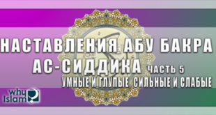 Умные и глупые, сильные и слабые